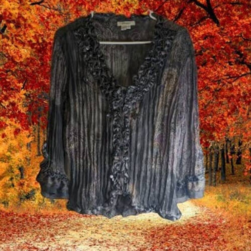 Dressbarn Large long sleeve black with ruffle trim and beaded accents top. Fall